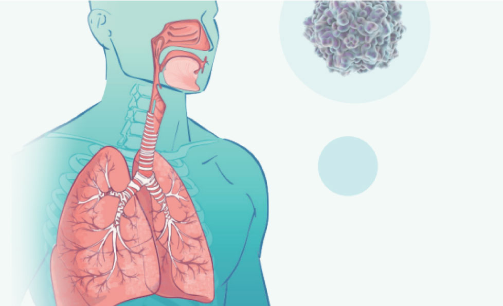 中国·122cc太阳成(集团)有限公司-官方网站