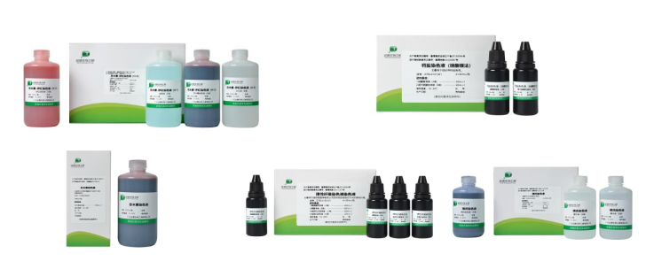 中国·122cc太阳成(集团)有限公司-官方网站