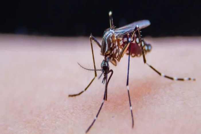 中国·122cc太阳成(集团)有限公司-官方网站